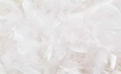 Stehleuchte, 1-flammig, Schirm aus Federn -Innenleuchten Verkaufsladen 10686477 4 201811271516