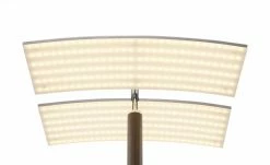 B-Leuchten LED-Deckenfluter, 2-flammig, Anthrazit eloxiert, Kopf schwenkbar -Innenleuchten Verkaufsladen 11684811 8 202112021236
