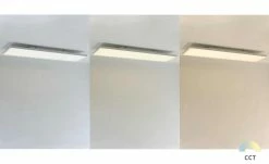 Paul Neuhaus LED-Deckenleuchte weiß