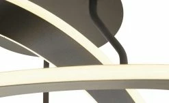 Trio LED-Deckenleuchte, anthrazit -Innenleuchten Verkaufsladen 11685015 4 202103162233