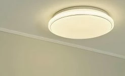 Paul Neuhaus Smart Home-Deckenleuchte, 1-flammig