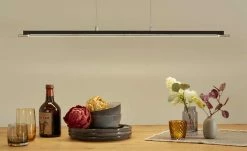 Fischer-Honsel LED-Pendelleuchte, schwarz-matt/Rauchglas -Innenleuchten Verkaufsladen 11685438 11 202202242232