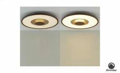 Fischer-Honsel LED-Deckenleuchte, rost/goldfarben -Innenleuchten Verkaufsladen 11685604 4 202109231234