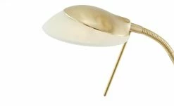 Fischer-Honsel LED-Deckenfluter, 2-flammig, messing-matt -Innenleuchten Verkaufsladen 11686045 7 202109171234