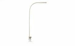 Fischer-Honsel LED-Klemmleuchte, Nickel-matt mit Gestensteuerung 12 Fischer-Honsel LED-Klemmleuchte, Nickel-matt mit Gestensteuerung -Innenleuchten Verkaufsladen 11686136 1 202101112239