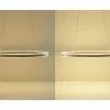 B-Leuchten LED-Pendelleuchte, Alu matt, oval | alufarben -Innenleuchten Verkaufsladen 11686217 2 202110211246