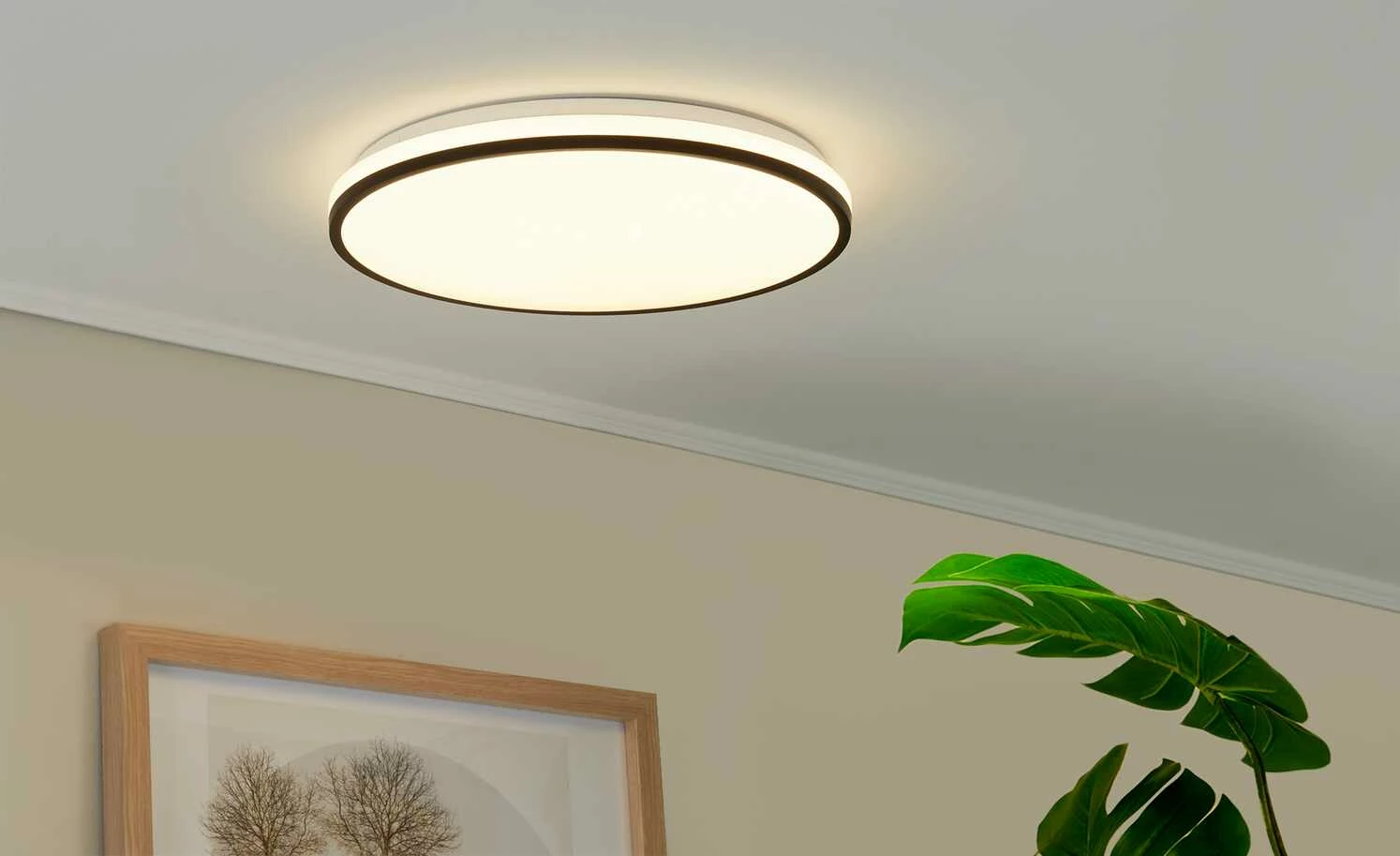 LED-Deckenleuchte, weiß mit schwarzem Ring | 24|W 5 LED-Deckenleuchte, weiß mit schwarzem Ring | 24|W – Bild 3