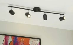 Paul Neuhaus Deckenstrahler, 4-flammig, schwarz