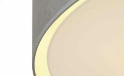 Deckenleuchte, 1-flammig, samt grau -Innenleuchten Verkaufsladen 11686668 3 202104161235