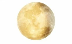 Trio LED-Deckenleuchte in Mondoptik `klein´ | 22|W -Innenleuchten Verkaufsladen 11687201 4 202201251234