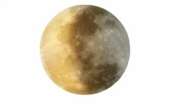 Trio LED-Deckenleuchte in Mondoptik `klein´ | 22|W -Innenleuchten Verkaufsladen 11687201 6 202201251234