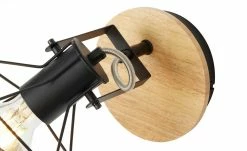 Paul Neuhaus Decken- und Wandstrahler, 1-flammig, Rubber Wood -Innenleuchten Verkaufsladen 11687509 7 202202232233