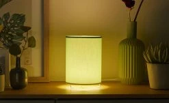 Uups Tischleuchte Mint