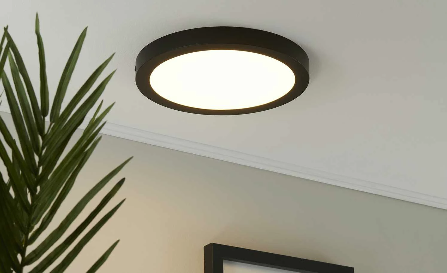 LED-Deckenleuchte, rund, schwarz 3 LED-Deckenleuchte, rund, schwarz