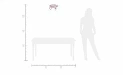 Deckenleuchte, 3-flammig -Innenleuchten Verkaufsladen 693314 6 202001282234