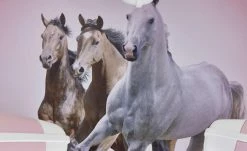 Deckenleuchte, 3-flammig, `Pferde` -Innenleuchten Verkaufsladen 693322 7 202106092233